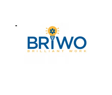 Briwo Solutions